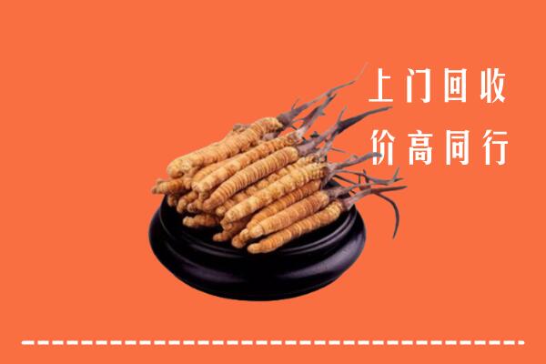 高价求购：东莞清溪镇回收散虫草