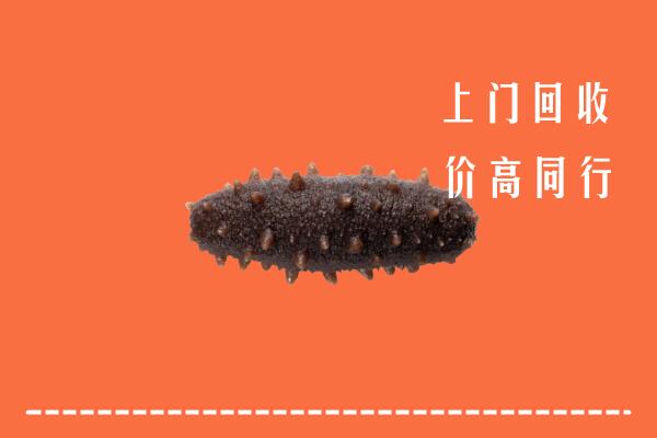高价求购：东莞清溪镇回收海参