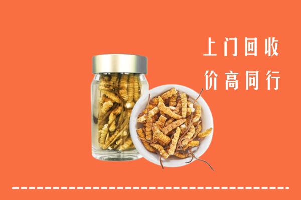 东莞清溪镇回收冬虫夏草